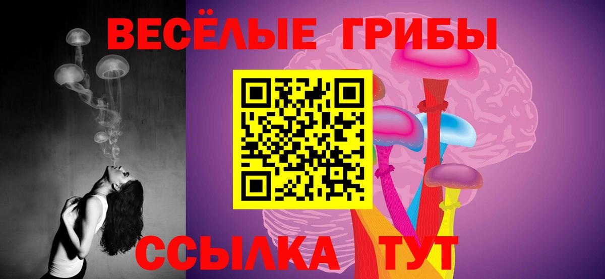 Псилоцибиновые грибы GOLDEN TEACHER  Вход с VPN  Щёлково  Галлюциногенные грибы мухоморы 